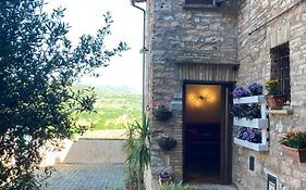 Sogni d'Oro Spello